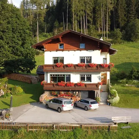 Apartamento Hannerl *